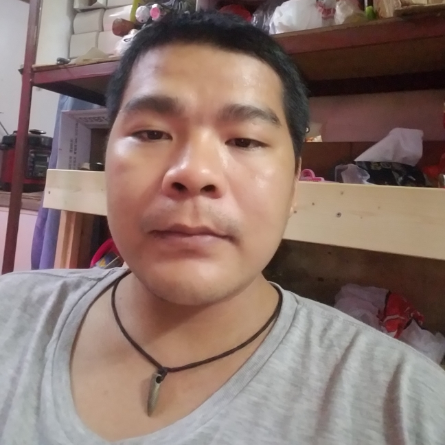 老实爱绝影的照片