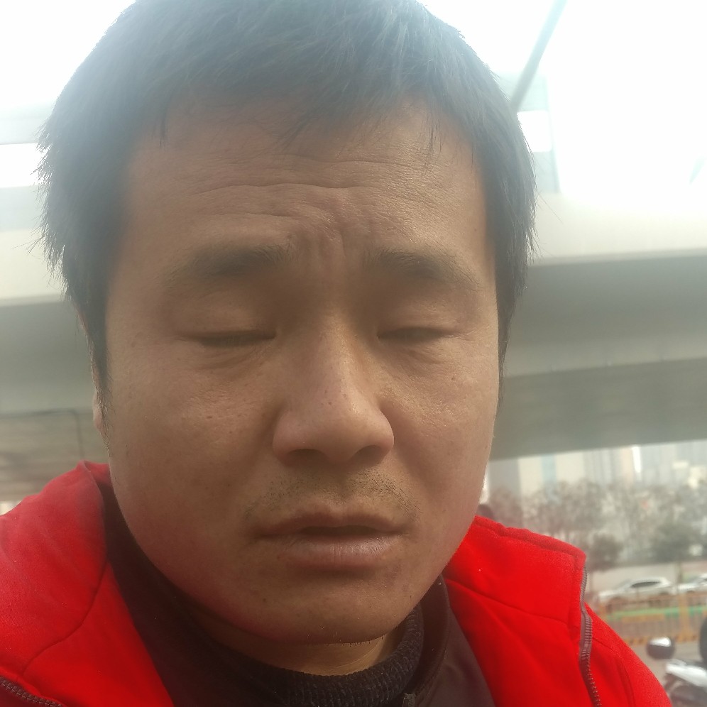 暖光蹁跹殷勤的照片