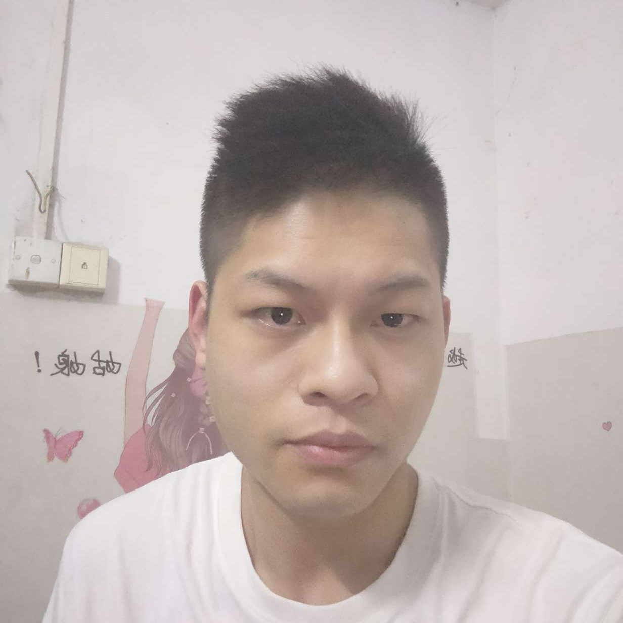 凉城的积极的照片