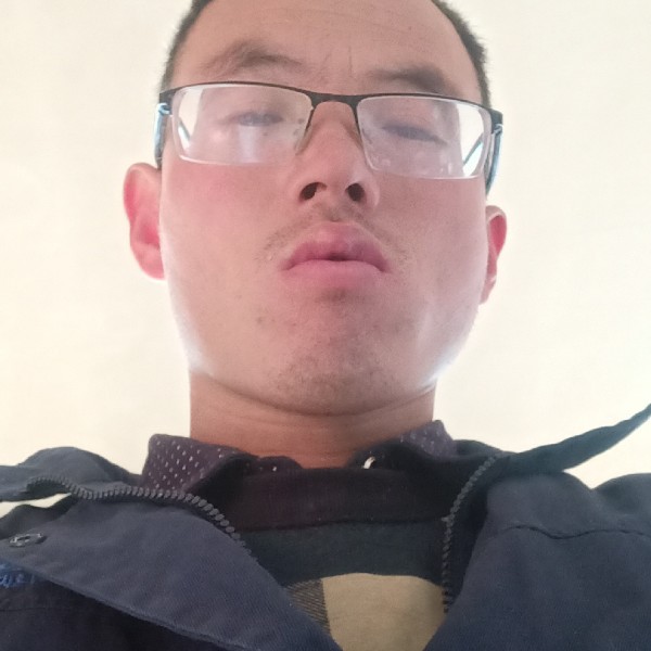 鼠标勤的照片