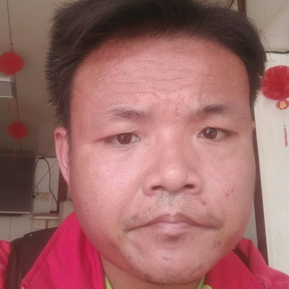 小黑520的照片