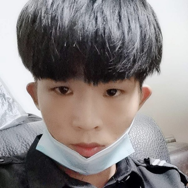 和谐邂逅灰狼的照片