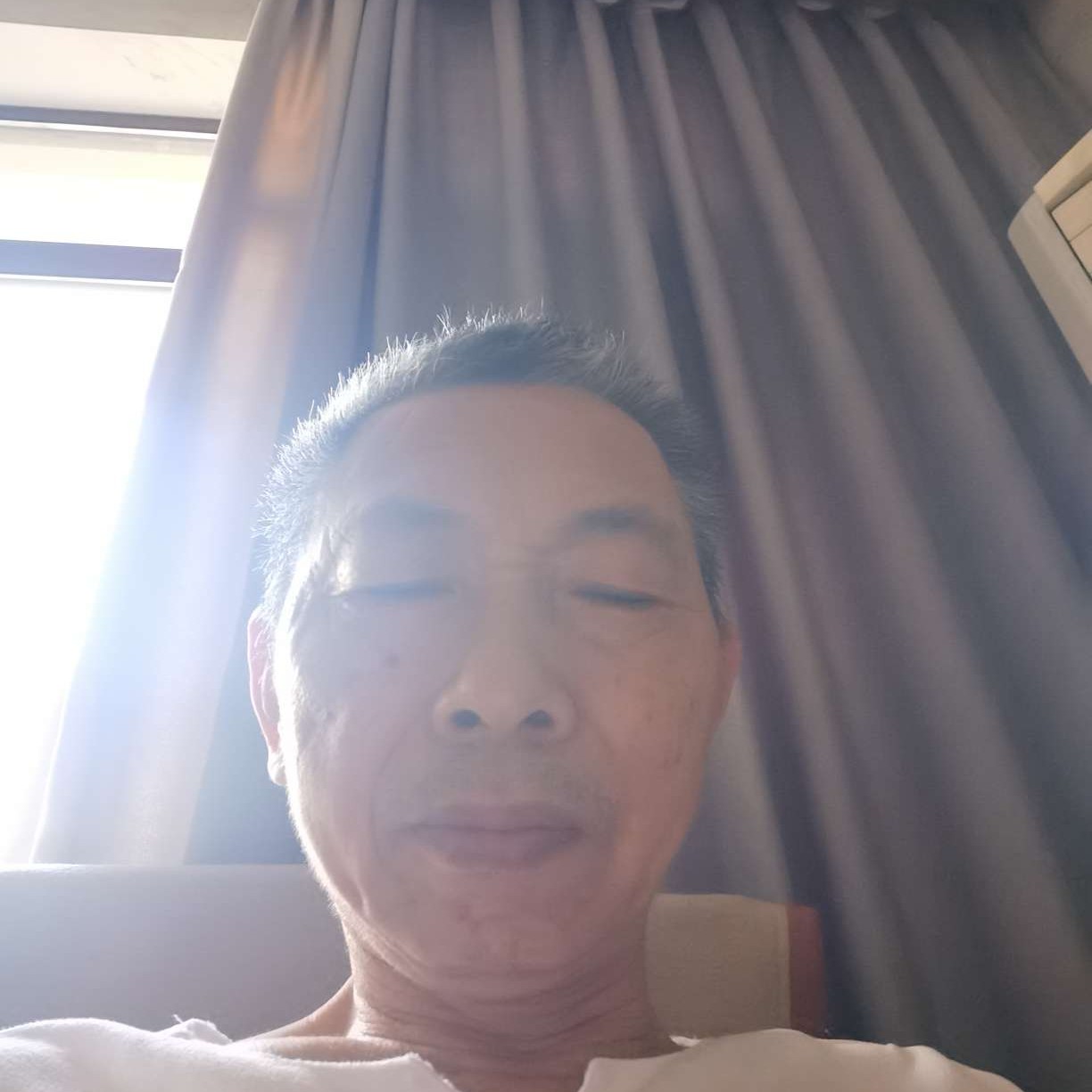 漠然有向日葵的照片