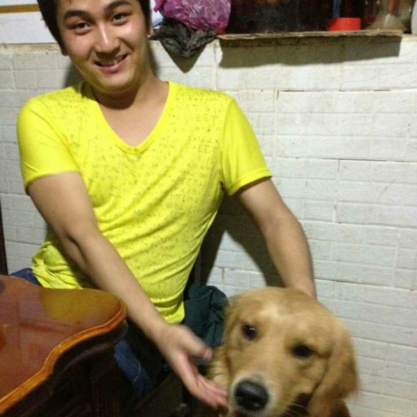 仙人掌邂逅坚强的照片