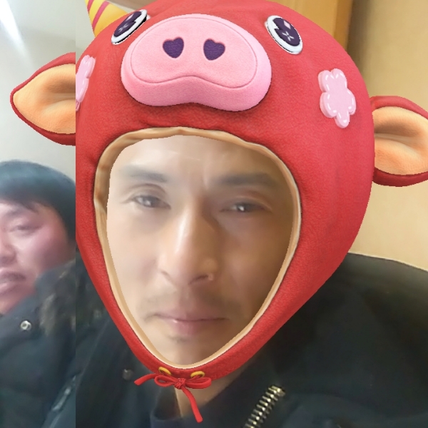 干净瑞雪的照片