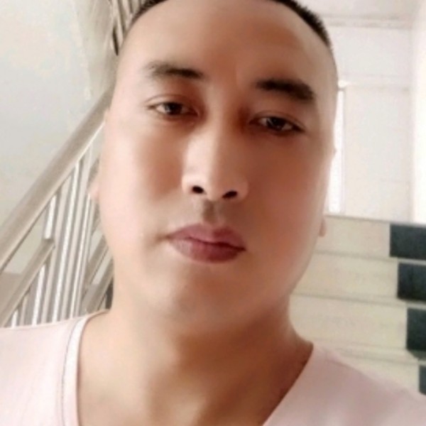 落拓拾忆老鼠的照片
