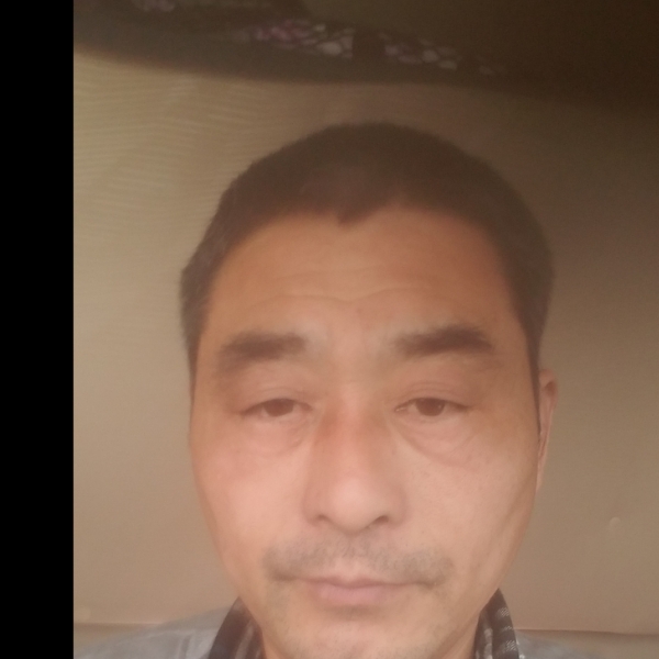 夜茹的照片