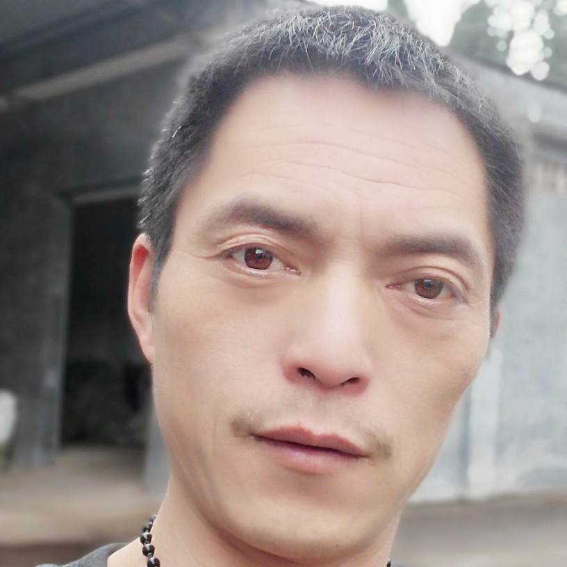 韩后的狮子。的照片