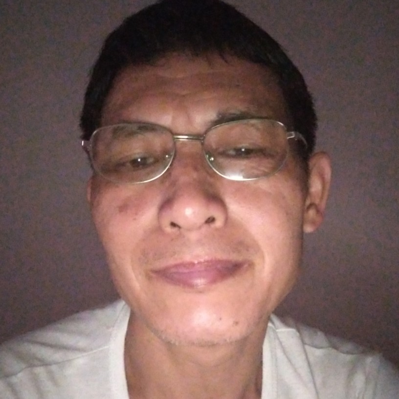 春暖柳绿的照片