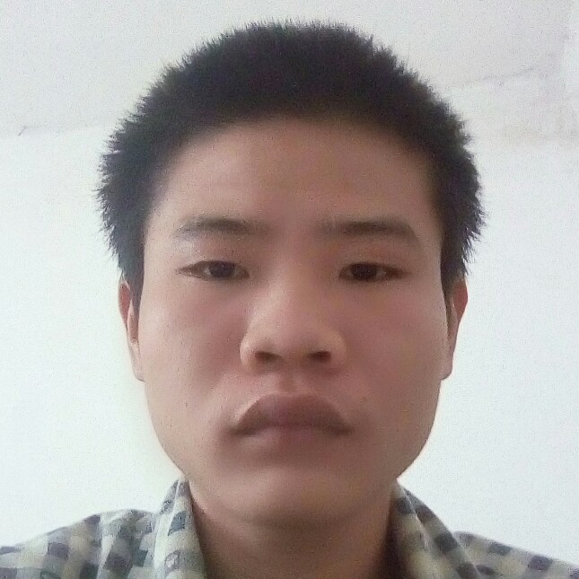 孤独的单身狗的照片