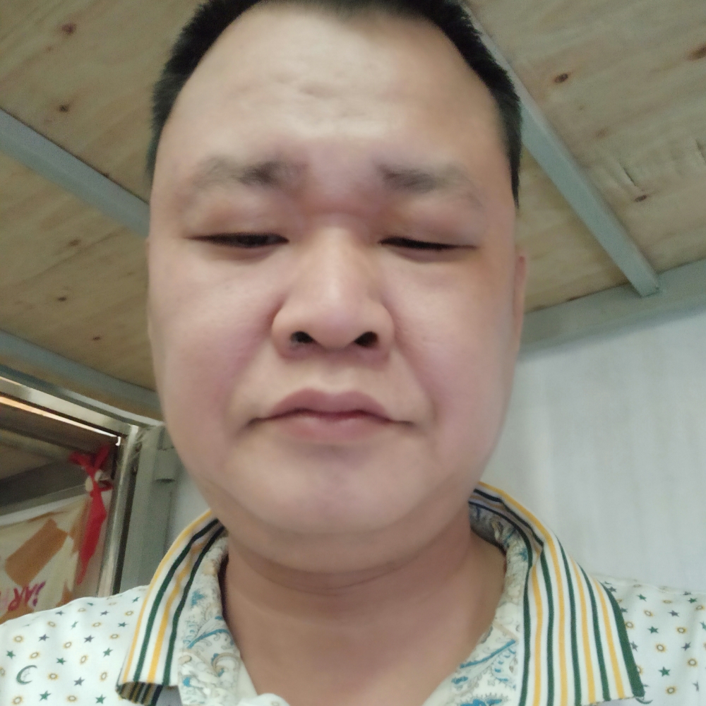 向日葵腼腆的照片