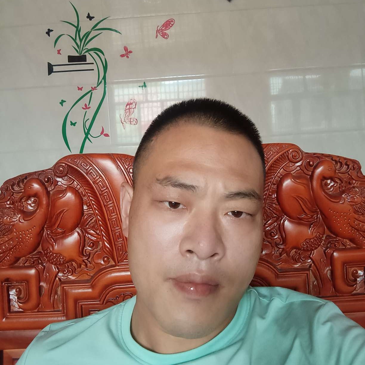 洋葱等待醉熏的照片