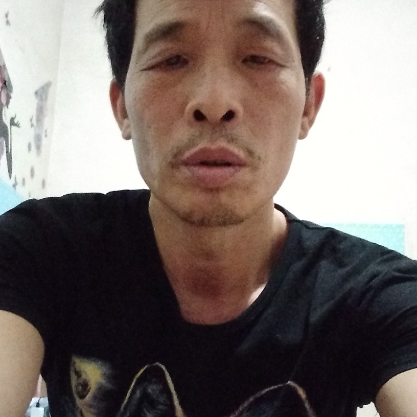 蝶衣温暖的照片
