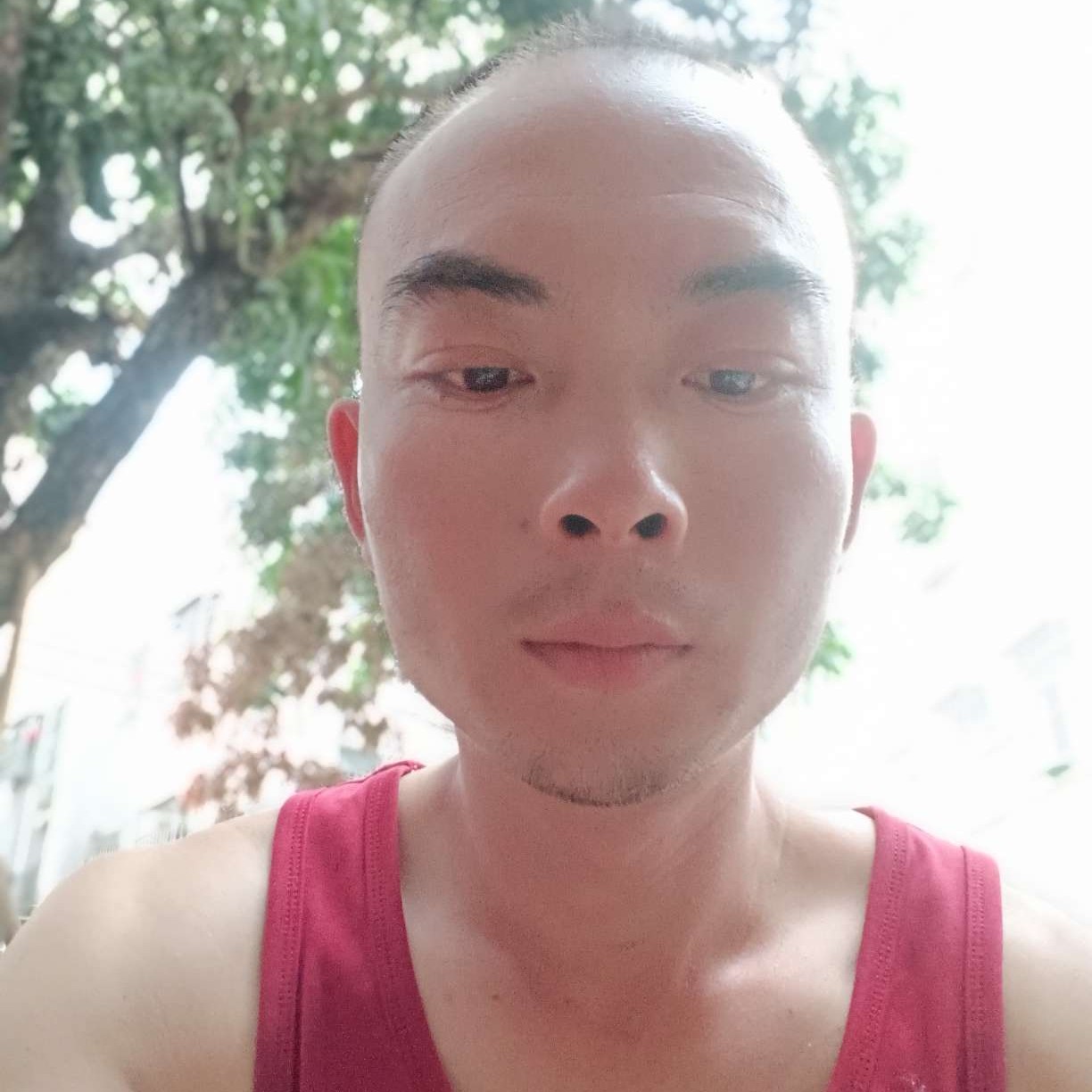 石头放弃魔幻的照片