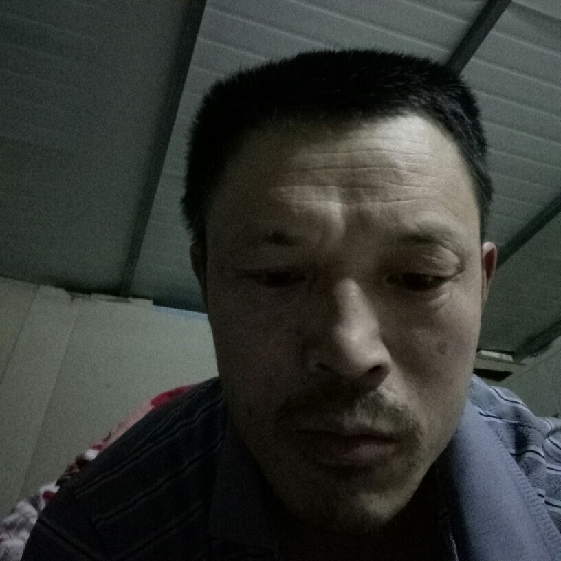 青山旅行的照片