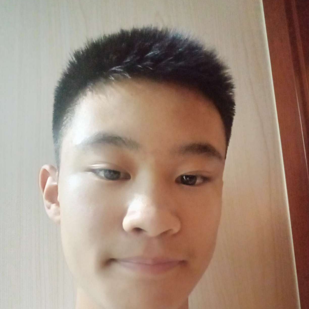 热心愿大树的照片