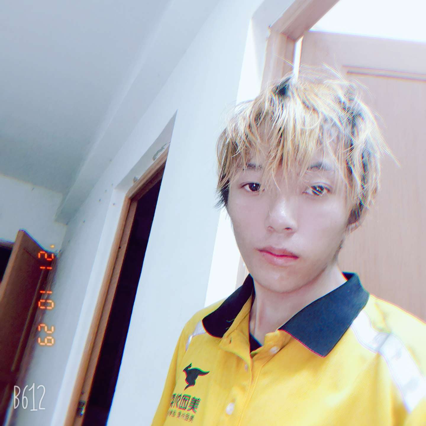 幼稚园的小兔子的照片