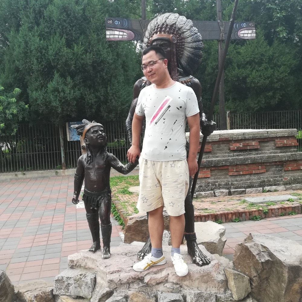 海燕漫步喜悦的照片