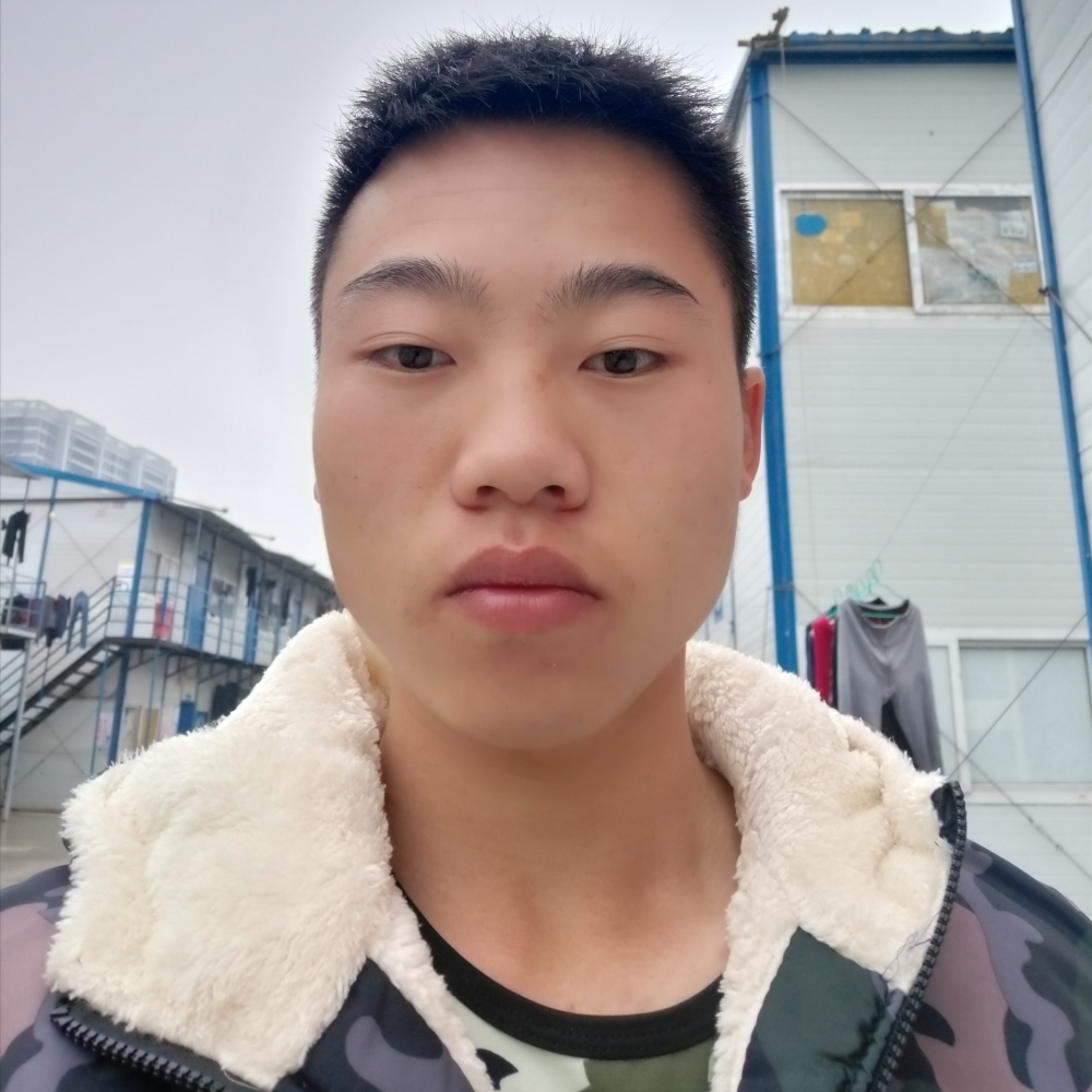 梦影还高贵的照片