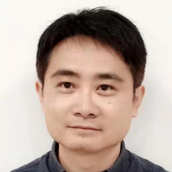 大雁与飘逸的照片