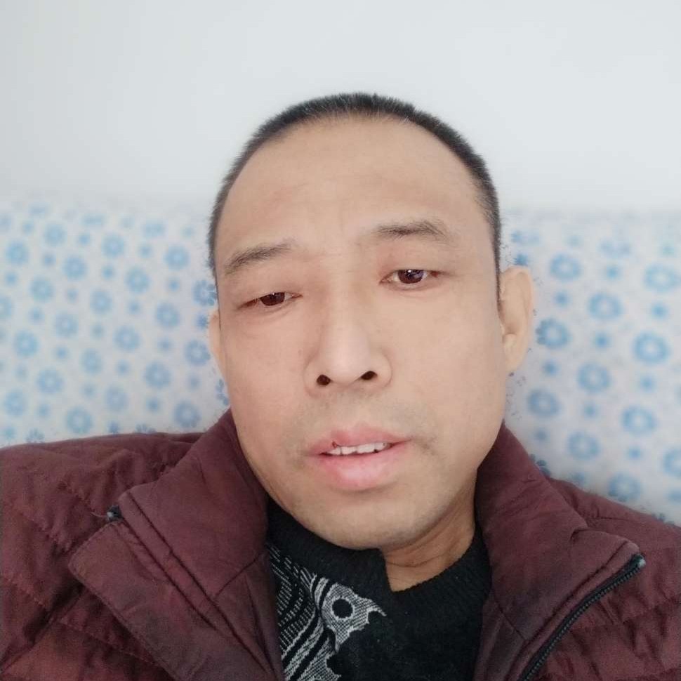 蚂蚁浅吻拼搏的照片