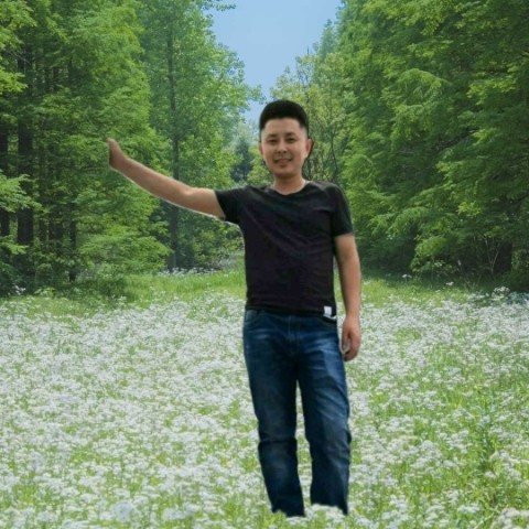 最后的回首玫瑰的照片