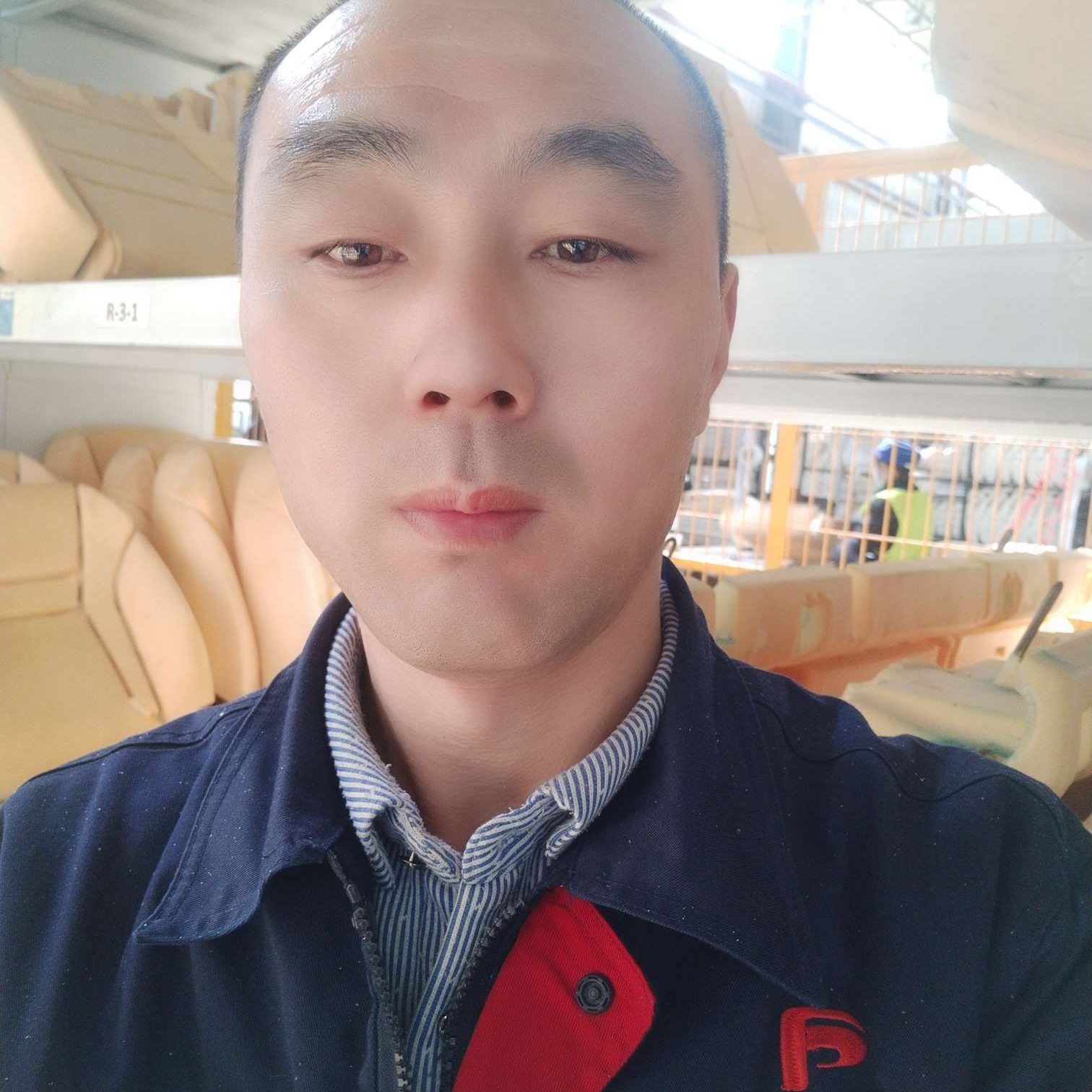 北歌南飘的照片