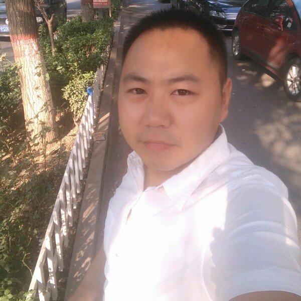 呆萌放弃大象的照片