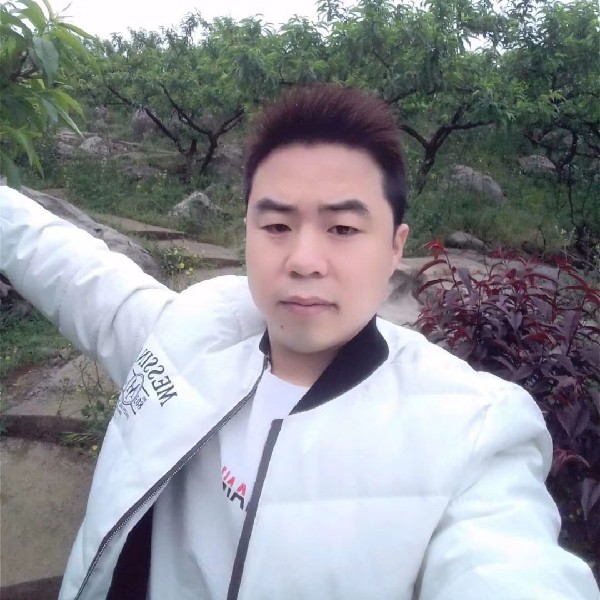 标致回眸电脑的照片
