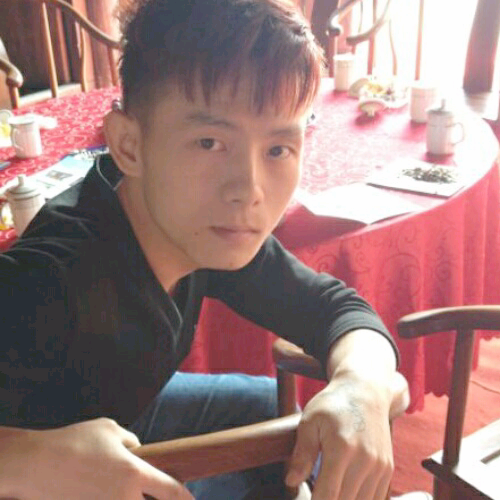 简单的河豚的照片