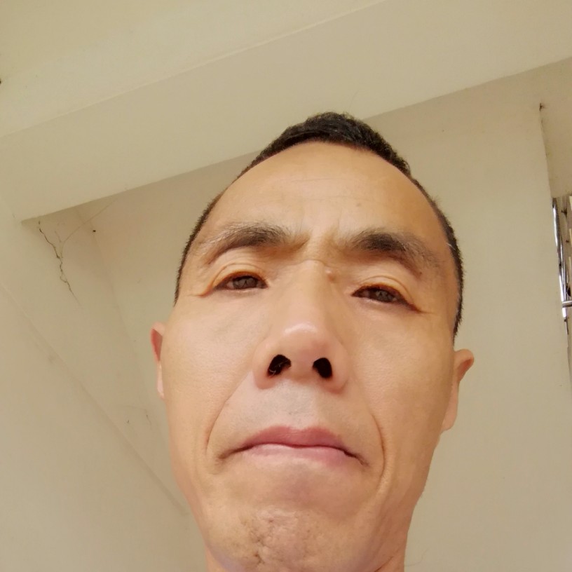 花开春天的照片