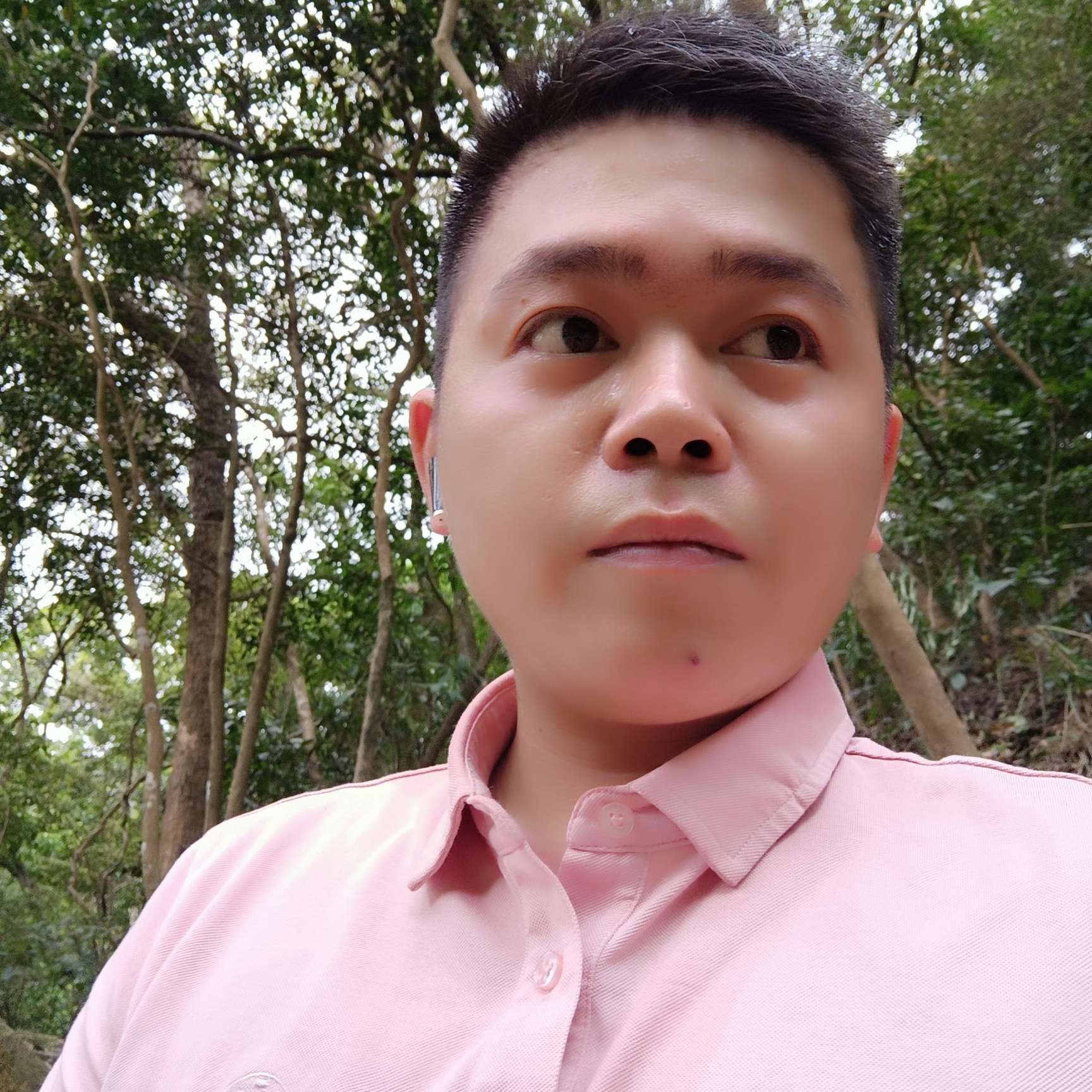迷途忘返的照片