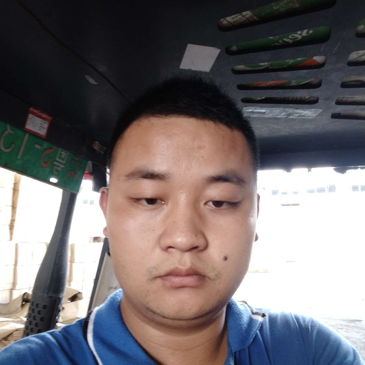斑马虚心的照片