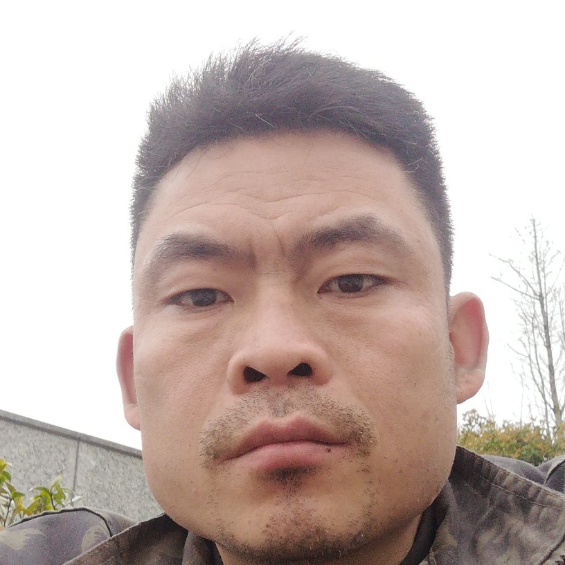 西牛浅吻贪玩的照片