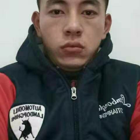 唯一的深拥蜜蜂的照片