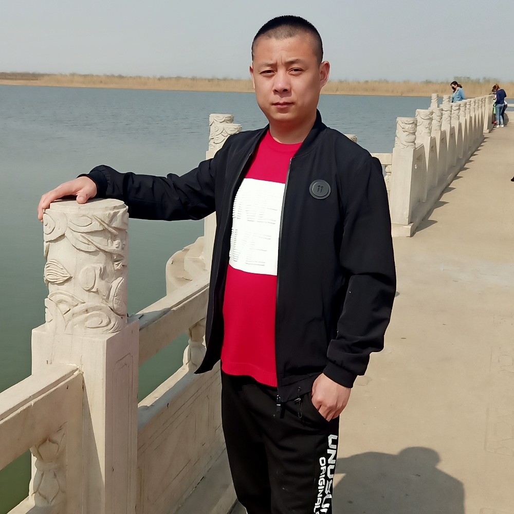 酷狗燕子的照片