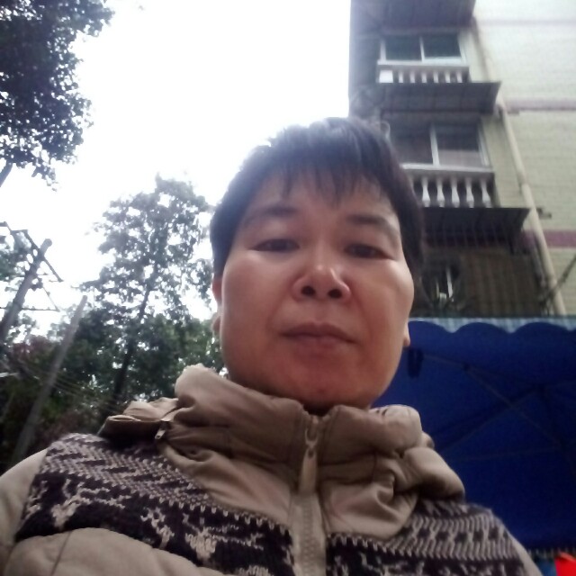 踏实猫咪的照片