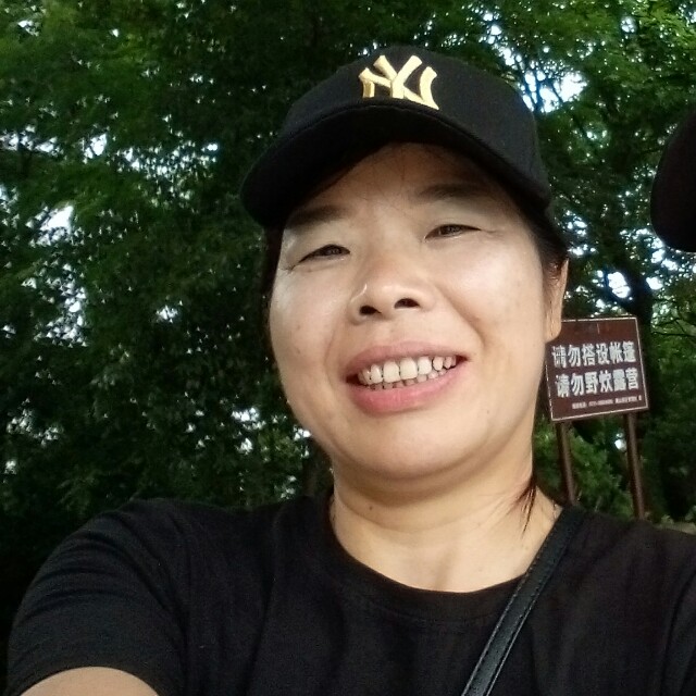 狗等于成就的照片