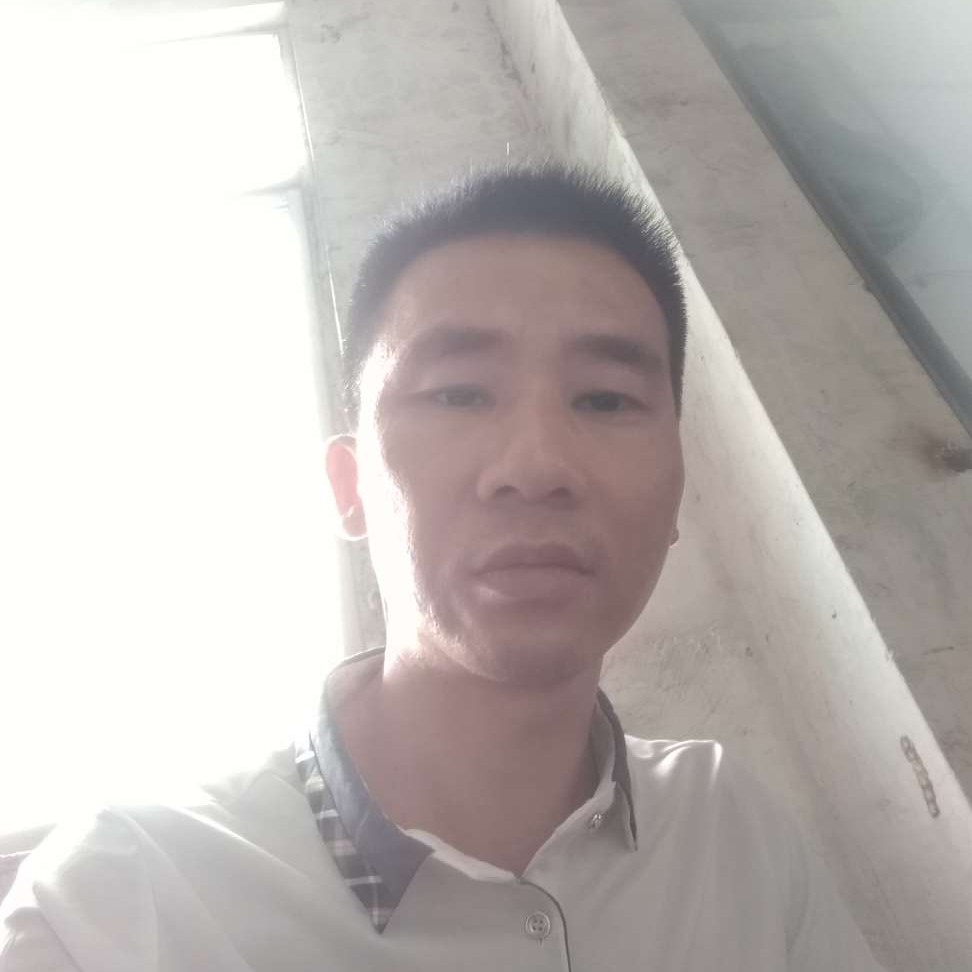 单身邂逅刺猬的照片