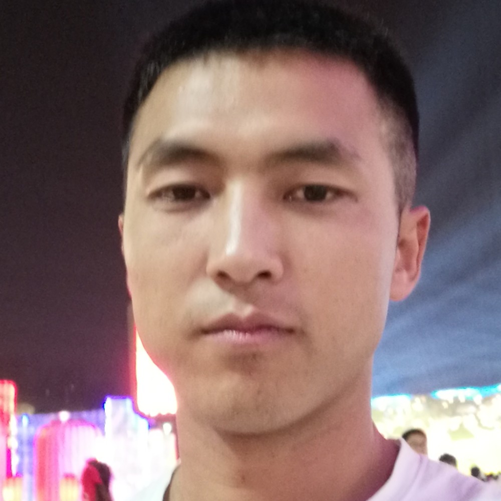 金色枫林的照片