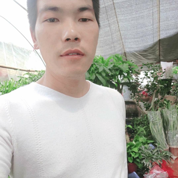 灵巧爱恋路人的照片