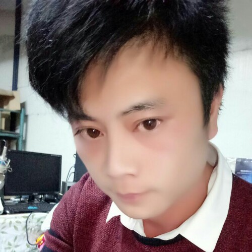 灿灿的飞翔的小鸟的照片