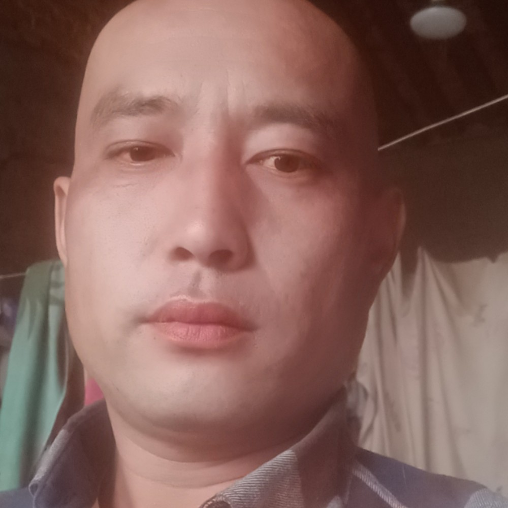 高贵等待宝马的照片