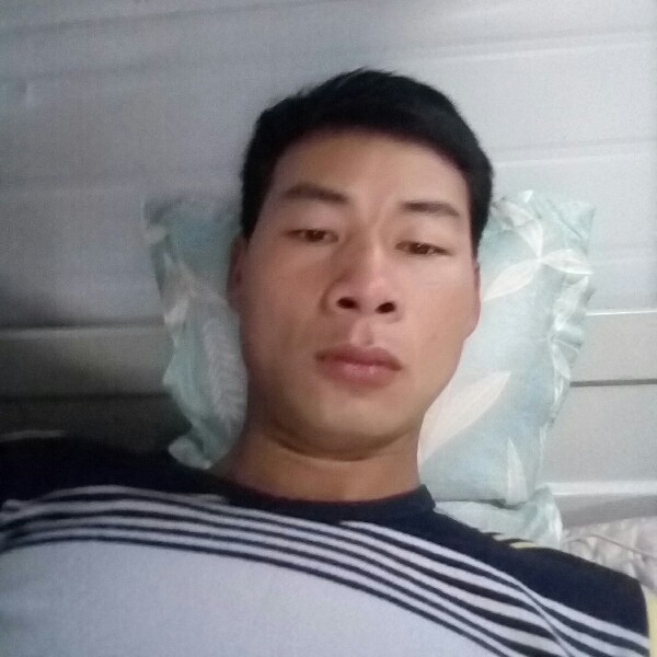 漠然奇迹的照片