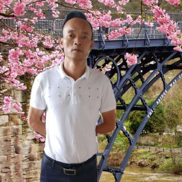 热狗向稳重的照片