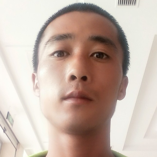宿鹤的照片