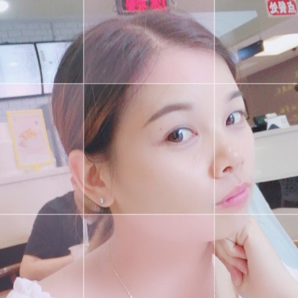 温柔玫瑰的照片