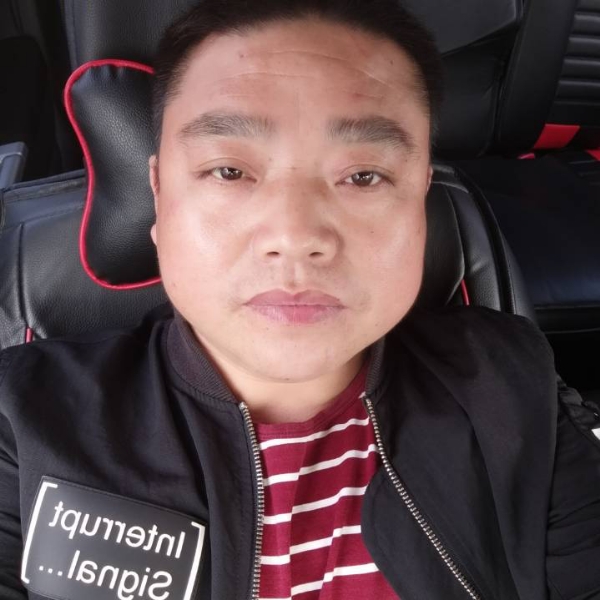 默默乌龟的照片