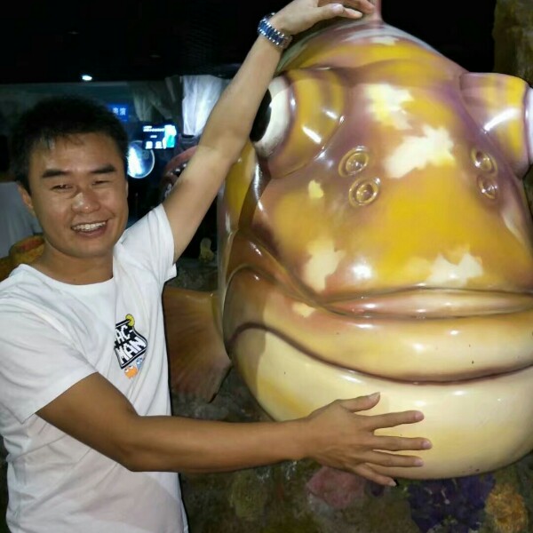 田野心情的照片