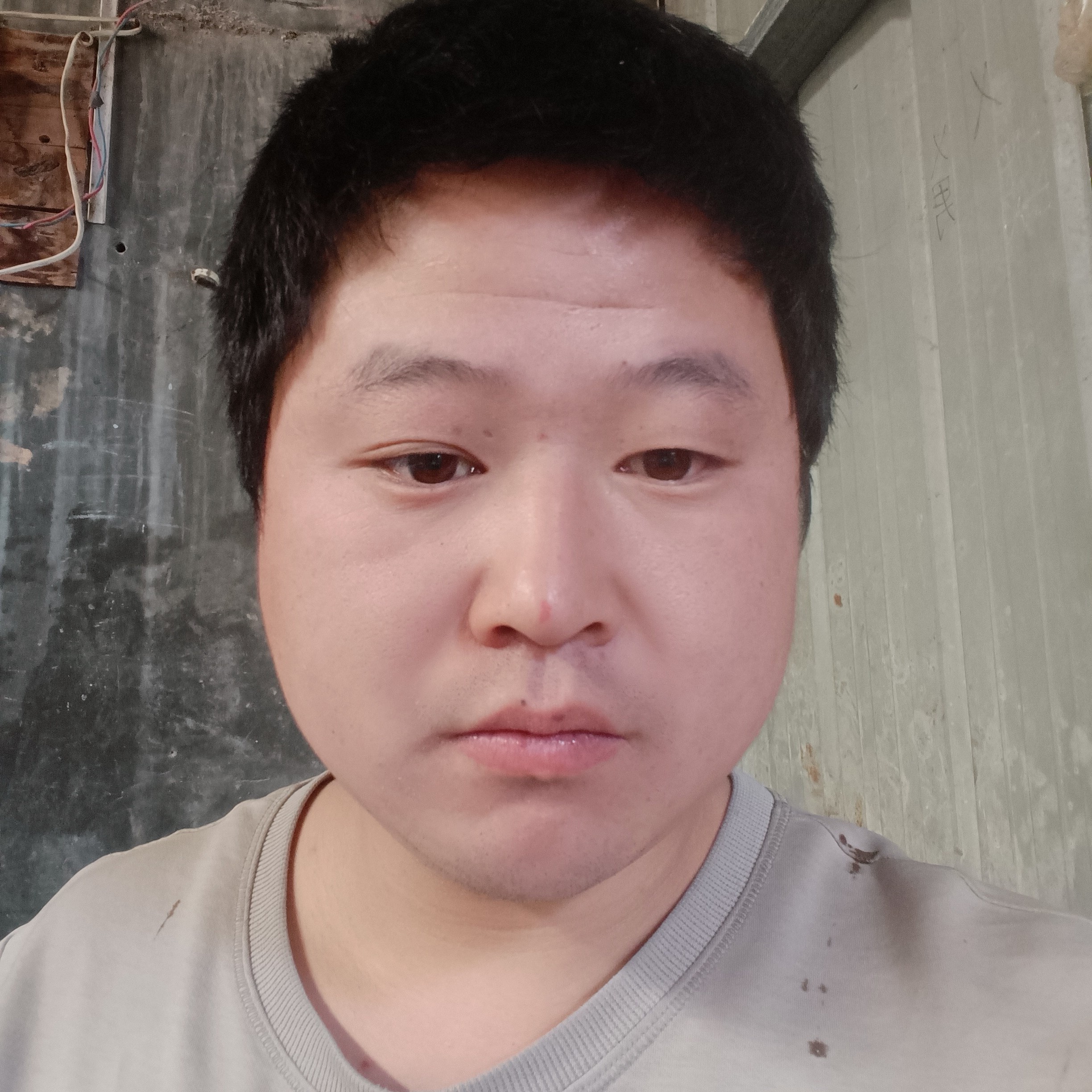 柠檬踢年轻的照片